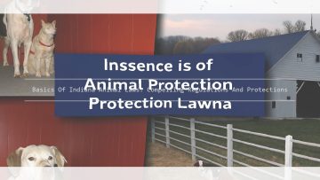 Understanding Legal Separation in Florida: Important Facts & Alternatives